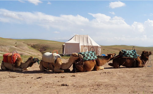 Camel Riding in Agafay Desert 