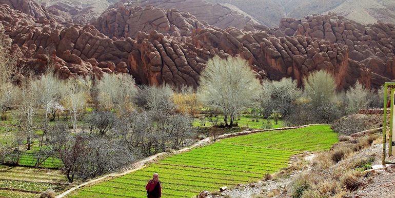 The Hike Through the Valley