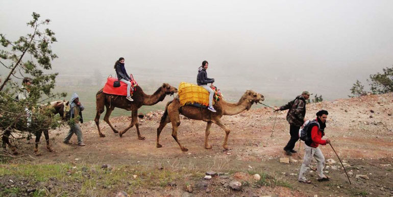 Camel Trek 