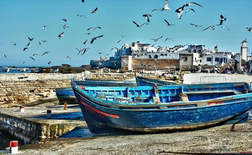 Excursion d'une journée à Essaouira 