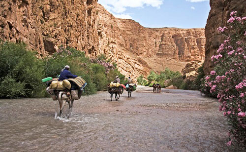 MTB Across High Atlas Central Mgoun - Happy Valley 