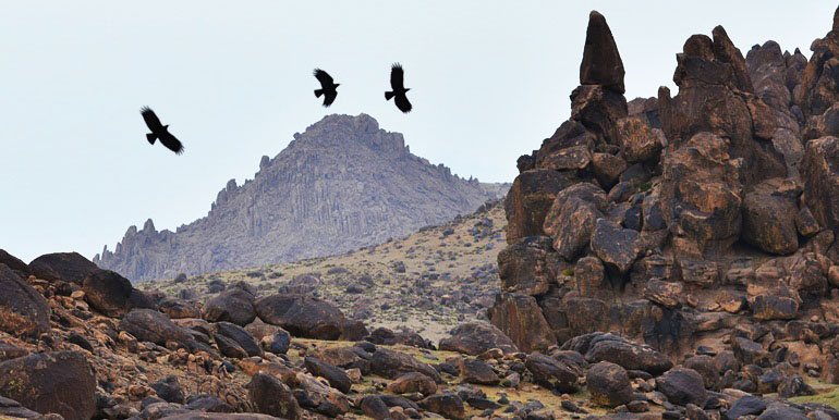 Siroua Mountains 