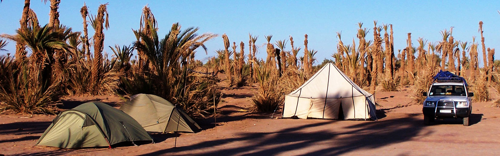 Draa Valley Camel Trek & Oases