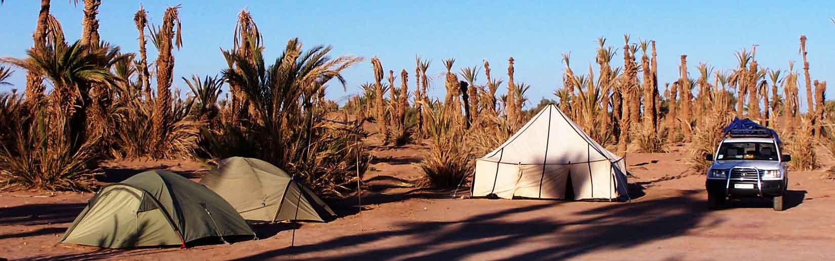 Valle del Draa Camel Trek & Oasis