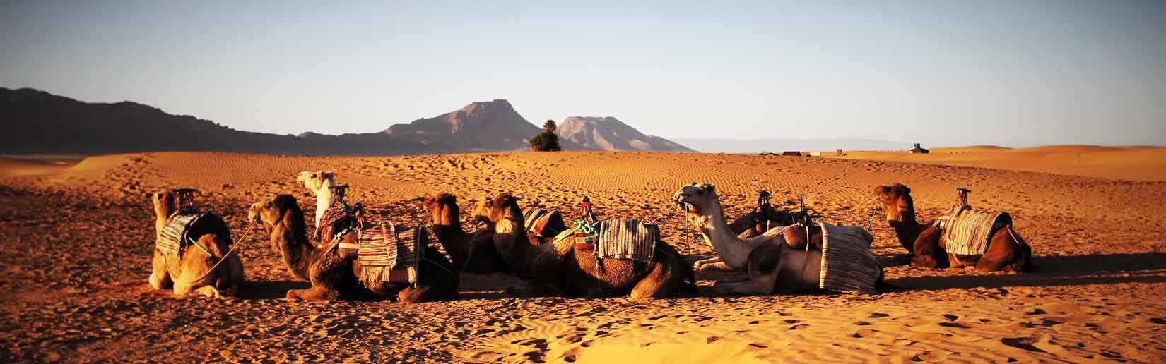 Day Trips from Marrakech 